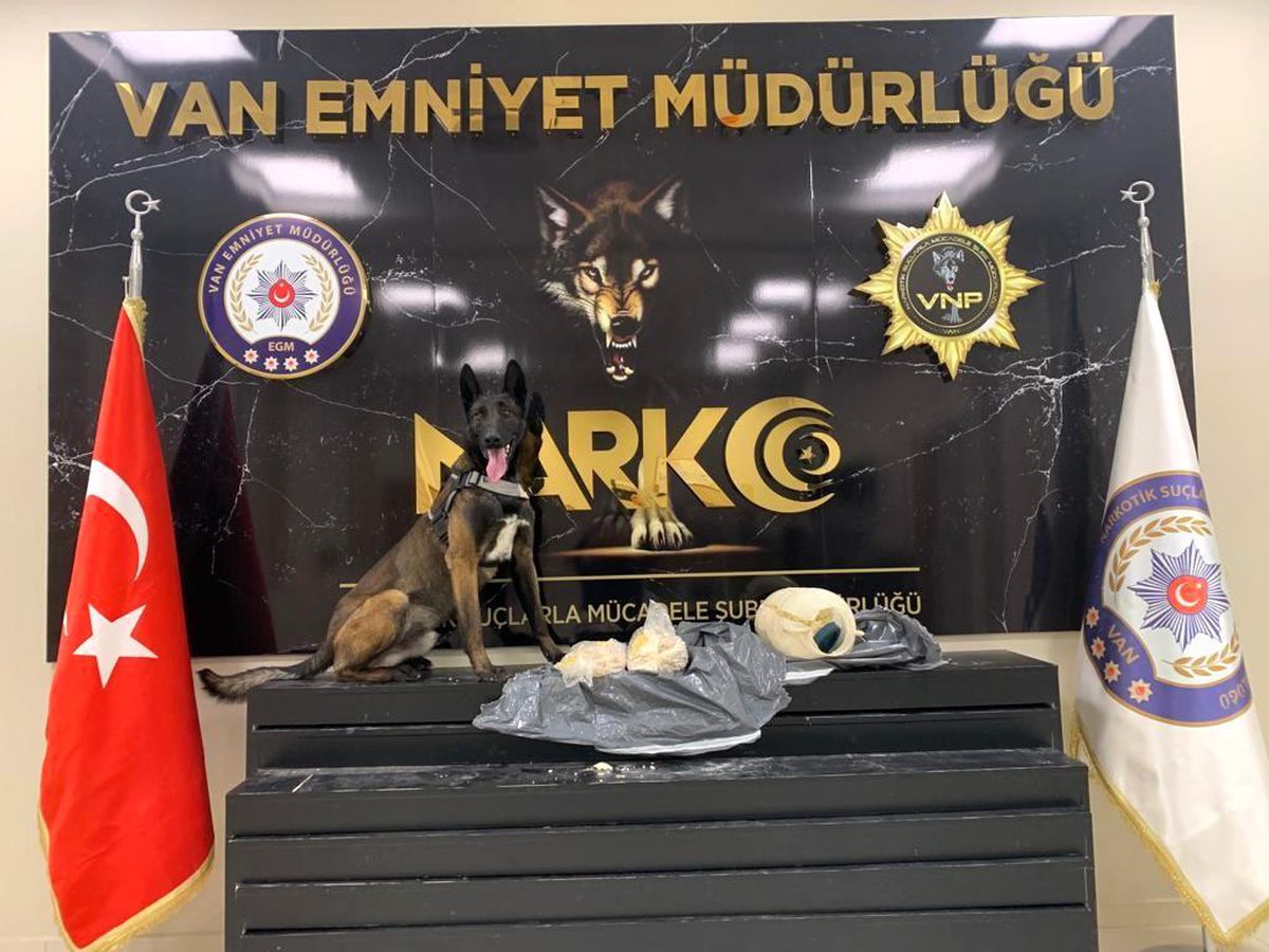 Van\'da uyuşturucu operasyonu