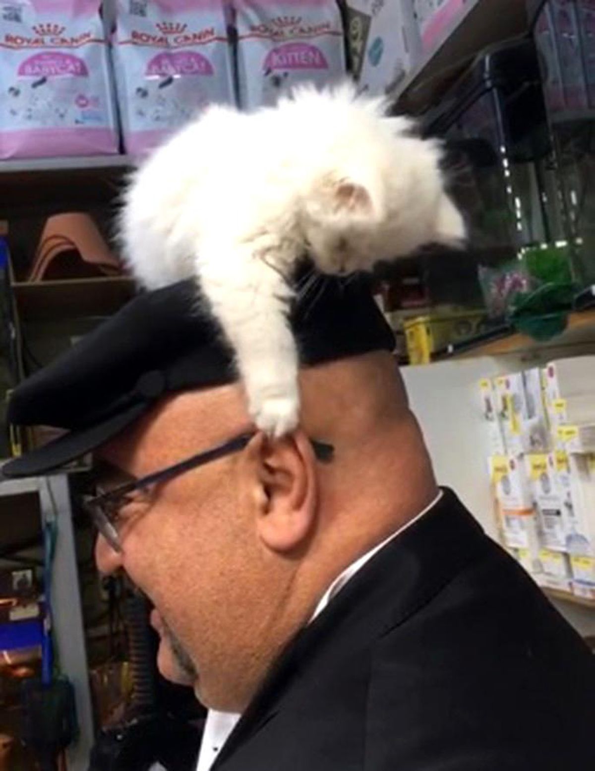 Yavru kedi ile müşterinin sevimli halleri gülümsetti