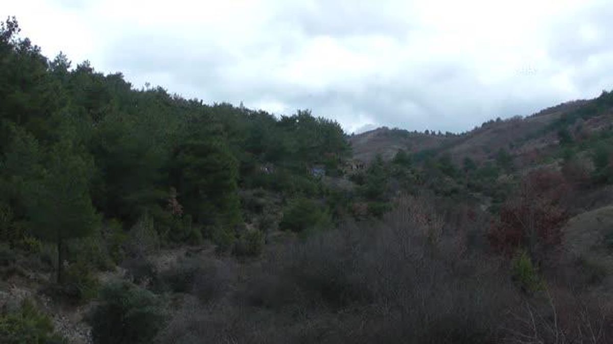 ÇANAKKALE - Yaşlı adam dağlık alandaki arazisinde ölü bulundu