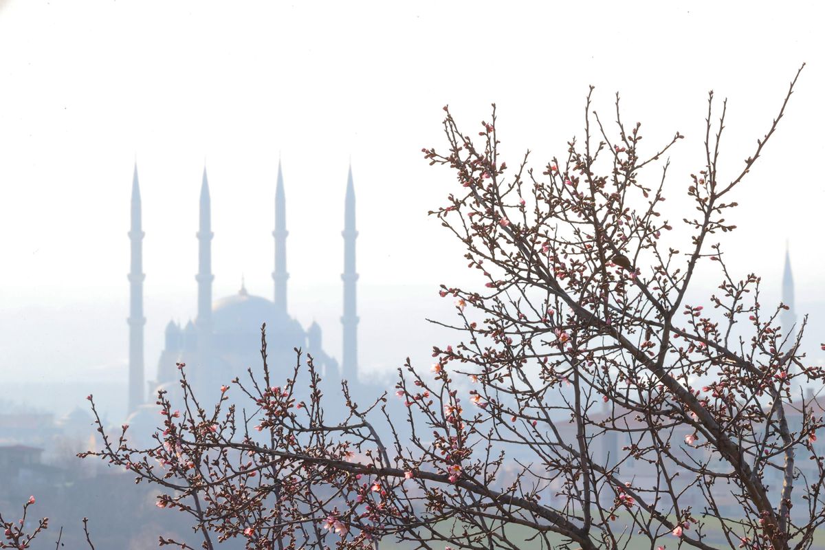 Edirne\'de erik ve badem ağaçları "yalancı bahara" aldandı