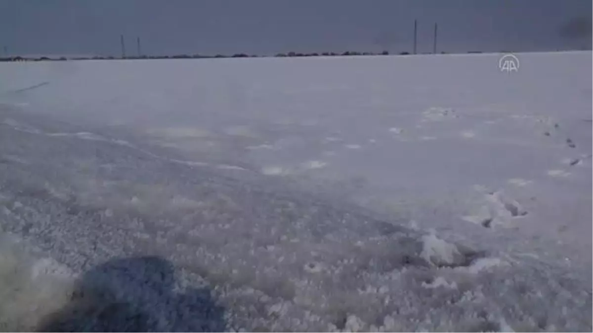 Etkili olan yağışlar çiftçi ve besicileri sevindirdi