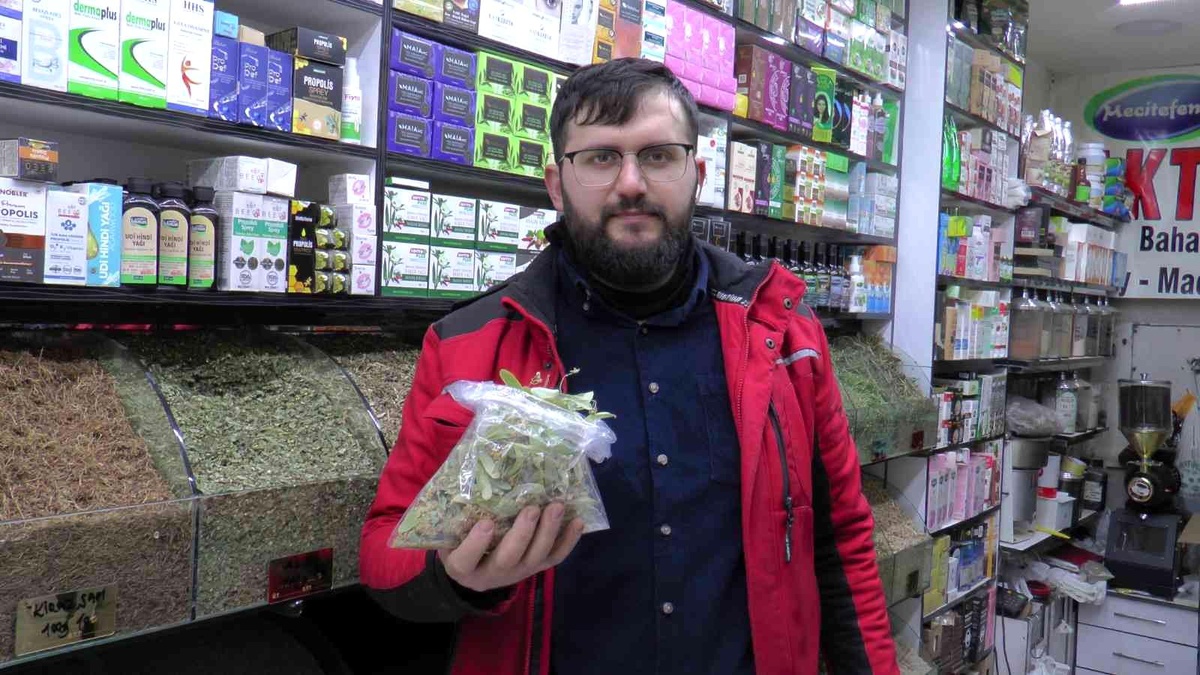 Ihlamurun kilosu 350 TL\'den alıcı buluyor