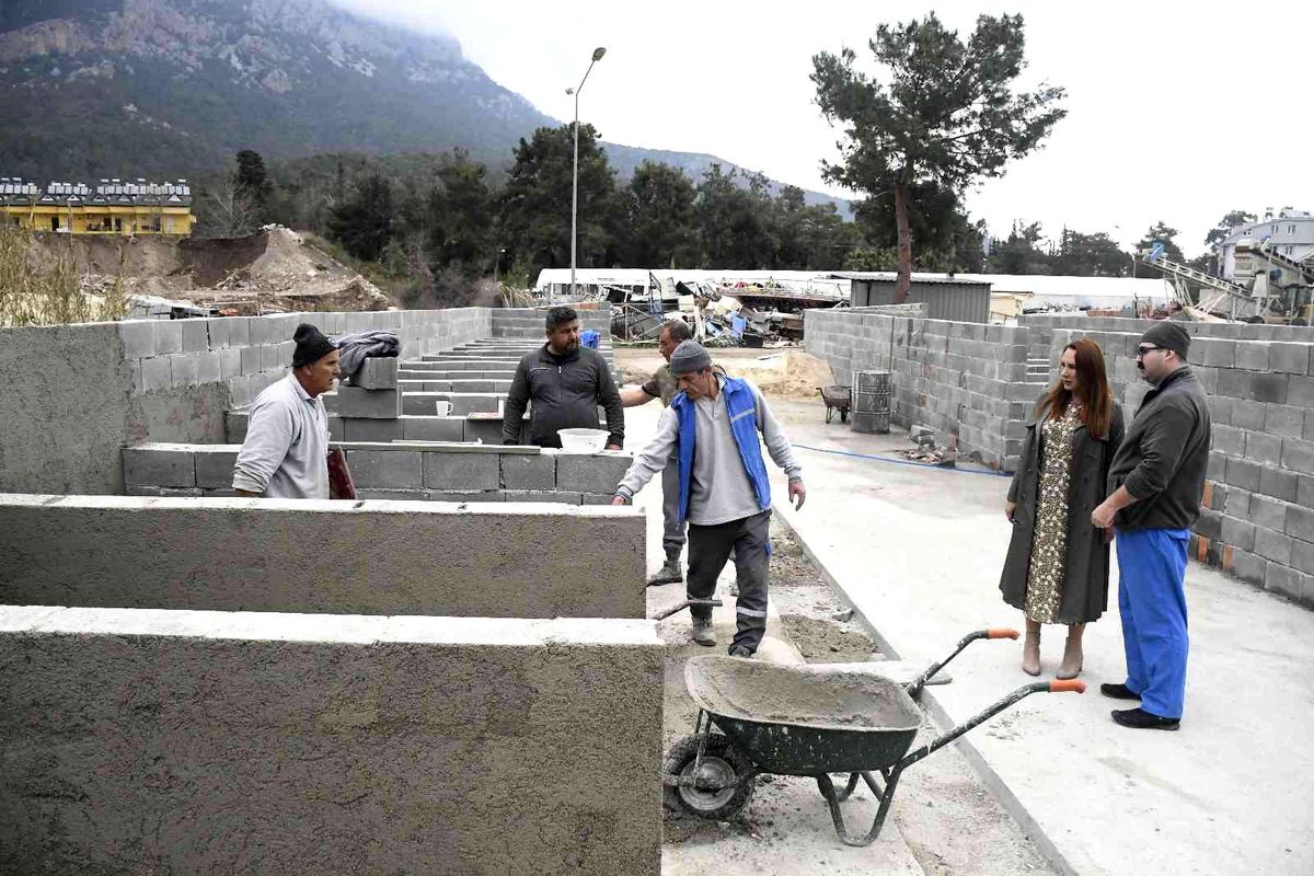 Kemer Belediyesi Hayvan Barınağı'nda iyileştirme çalışmaları