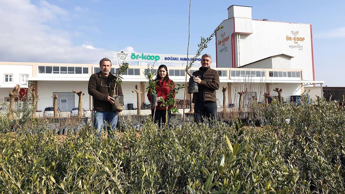 ÖRKOOP'tan bölge tarımına kaliteli fidan desteği