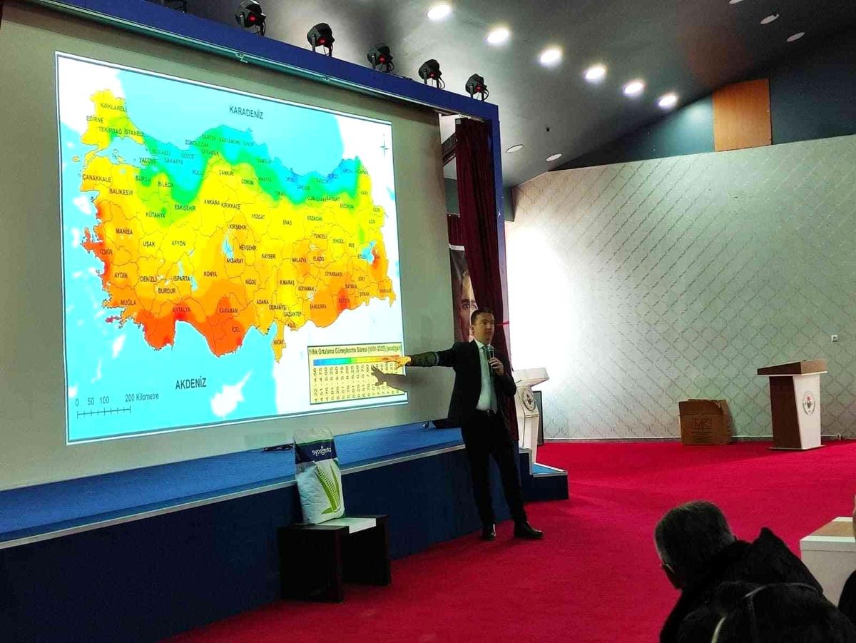 Selim'de silajlık mısır ve ayçiçeği masaya yatırıldı