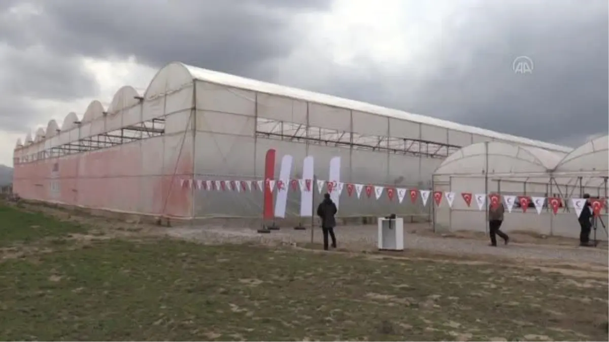 Türk Kızılay Genel Başkanı Kınık, hasada katıldı