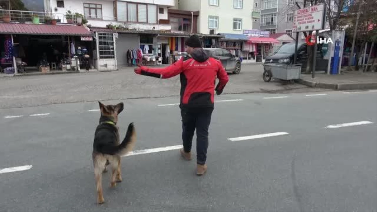 Artvin\'de temizlik işçisi ile sokak köpeğinin gülümseten dostluğu