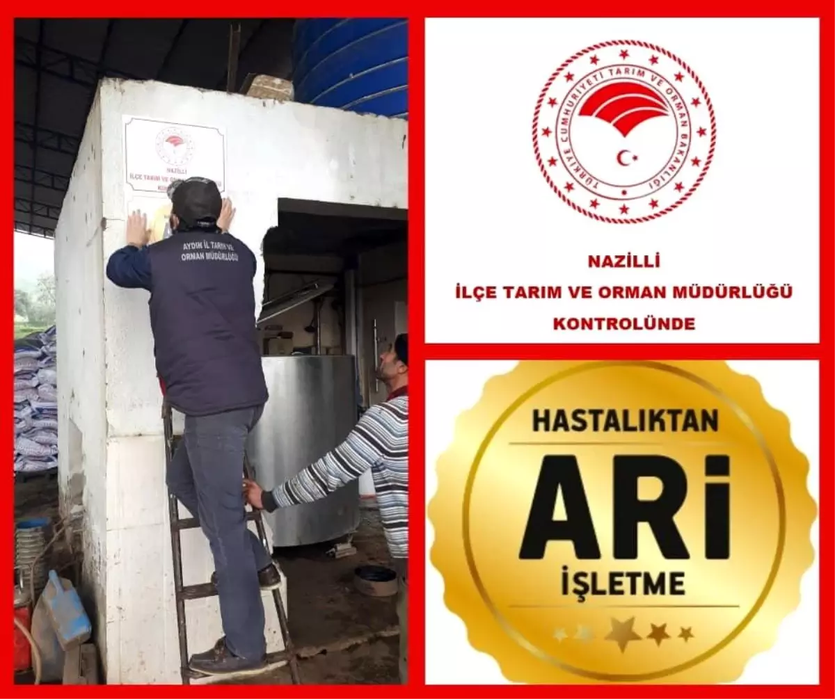 Son dakika haberleri! Bakanlığın kriterlerine uyan işletmeler tabelalarına kavuştu