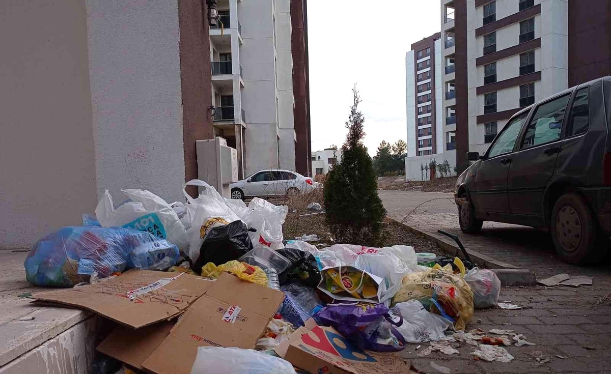 Bilecik\'te 558 dairelik site içi çöplüğe döndü