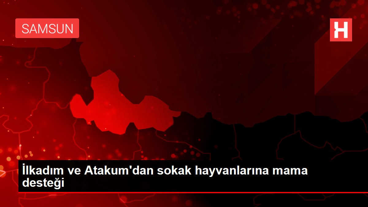 İlkadım ve Atakum'dan sokak hayvanlarına mama desteği