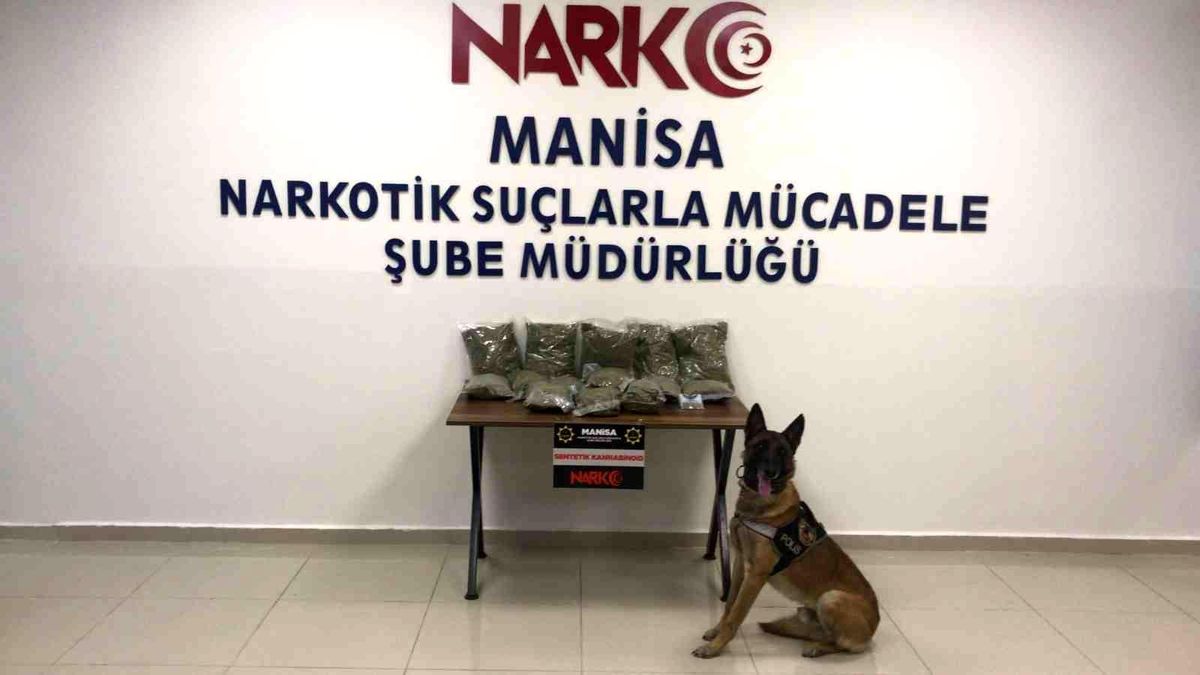 Kovalamaca sonucu durdurulan araçta 10 kilo bonzai ele geçirildi
