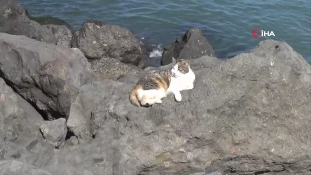 Samsun'da sıcaklık 23 dereceyi gördü