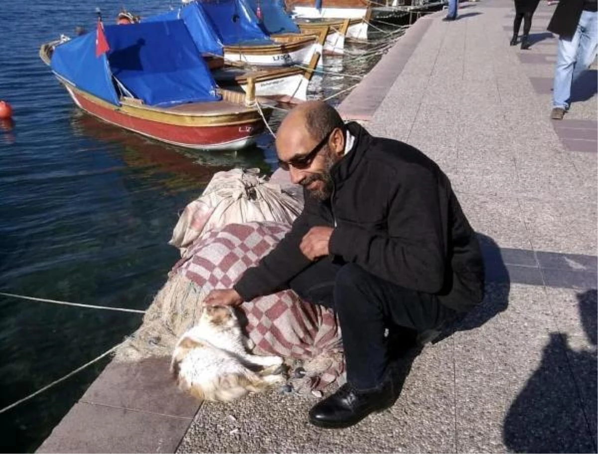 Yunan unsurları, 2 Türk balıkçı teknesine ateş açtı: 1 yaralı (2)