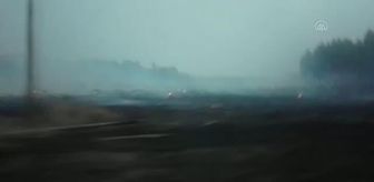 Arjantin'de haftalardır süren orman yangınının zararı en az 240 milyon dolar