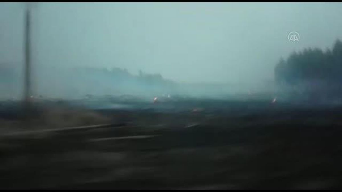 Arjantin'de haftalardır süren orman yangınının zararı en az 240 milyon dolar