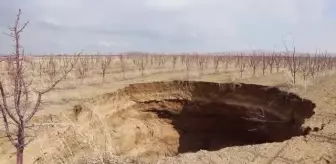 Elma bahçesinde 20 metre derinliğinde, 50 metre çapında obruk oluştu