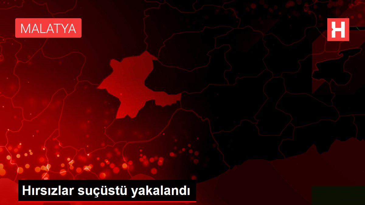 Hırsızlar suçüstü yakalandı