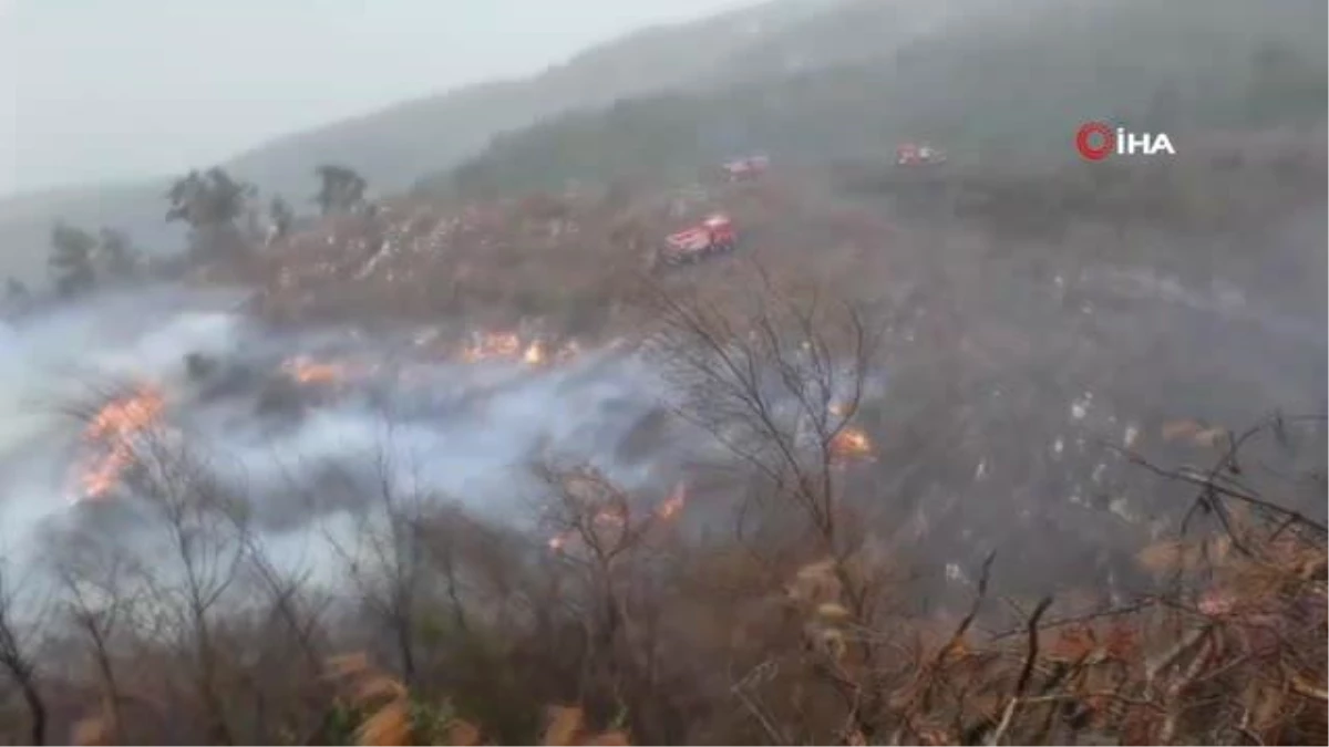 İskenderun\'da orman yangını...Bölgedeki fırtına yangın söndürme ekiplerine zor anlar yaşatıyor