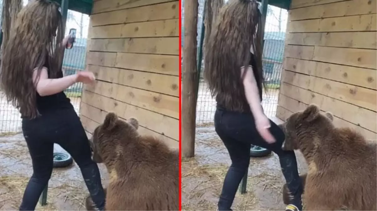 Twerk yaptığı ayının saldırısına uğrayan kız büyük korku yaşadı