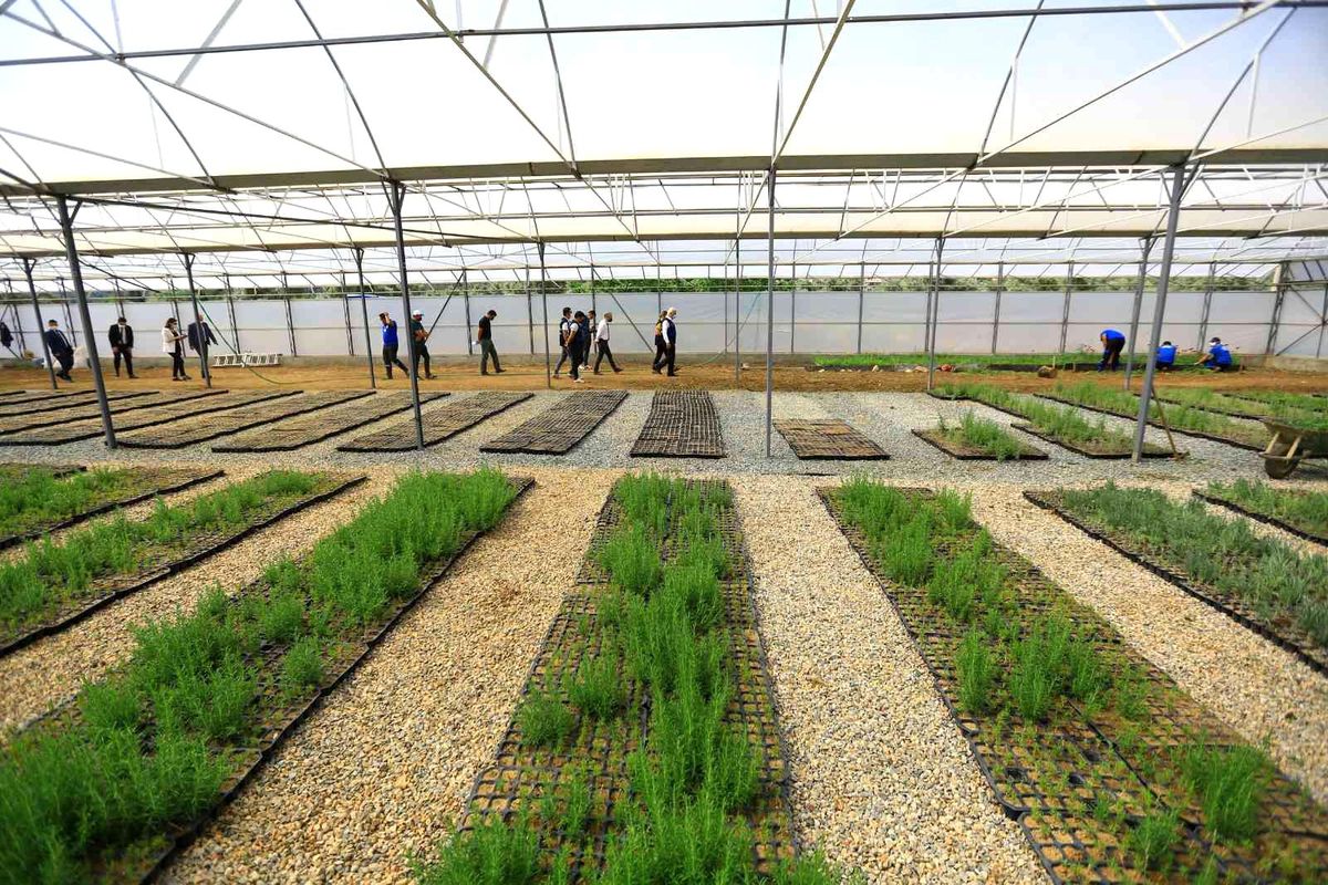 Yağmur hasadıyla yılda 300 ton su tasarrufu