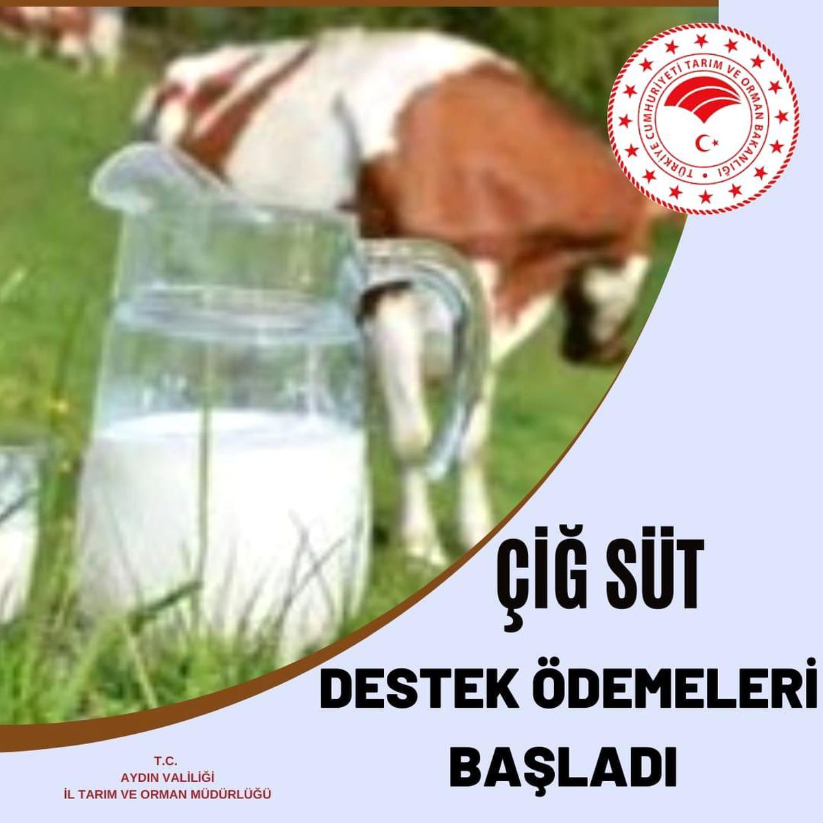 Çiğ süt destek ödemeleri başladı