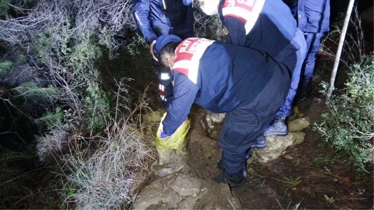 Yeni kazılmış mezar ekipleri harekete geçirdi! Ağzı bağlanmış köpek cesedi şaşkınlık yarattı