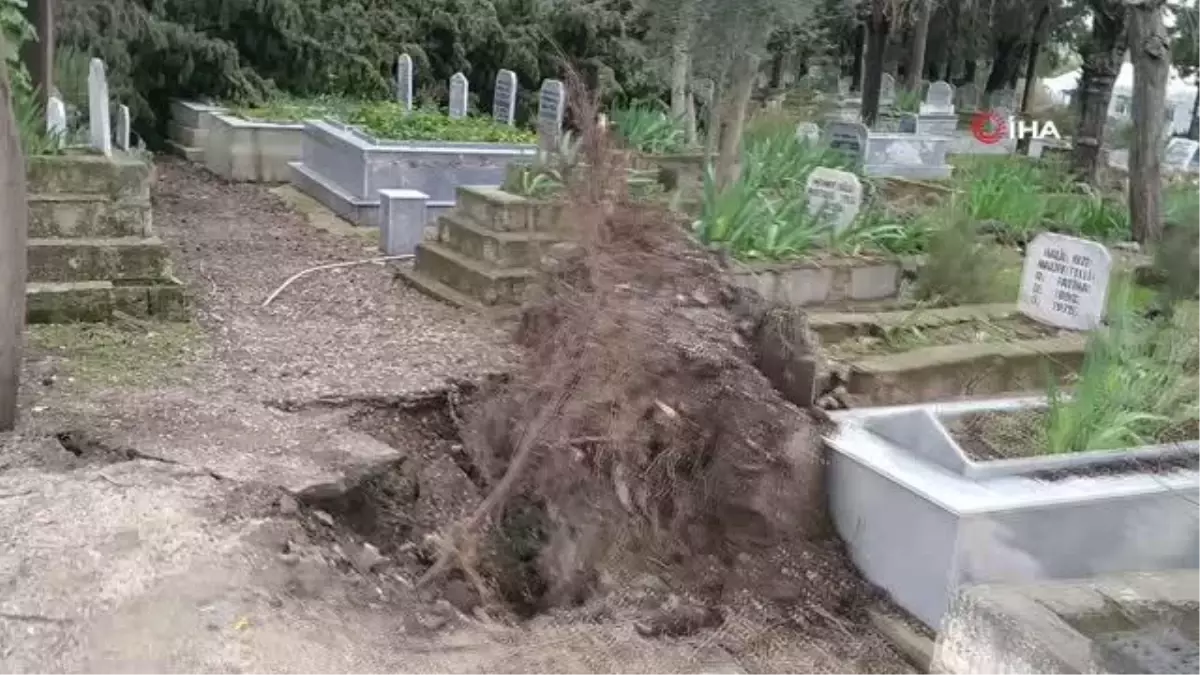 Fırtınanın kökünden söktüğü ağaçlar mezarlara zarar verdi