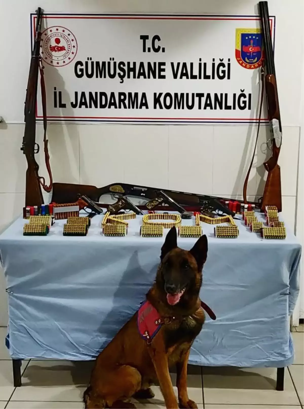 Son dakika gündem: Gümüşhane'de silah kaçakçılığı operasyonunda bir kişi yakalandı