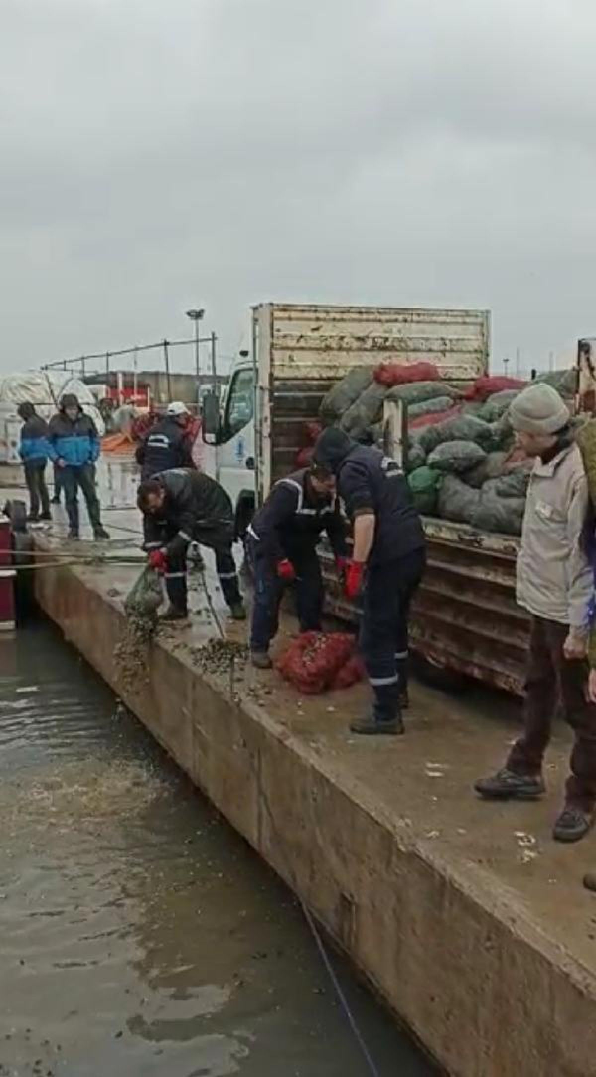 İSTANBUL'DA KAÇAK AVLANAN 10 TON MİDYEYE EL KONULDU