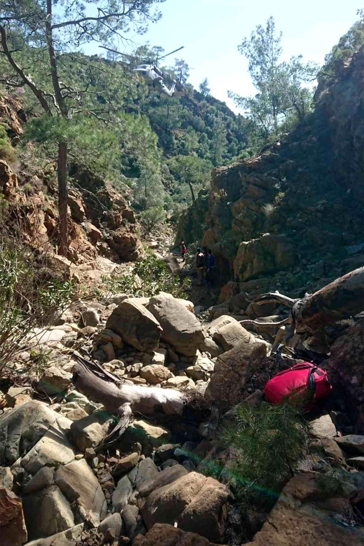 Muğla\'da orman işçisi kayalıklardan düşerek hayatını kaybetti
