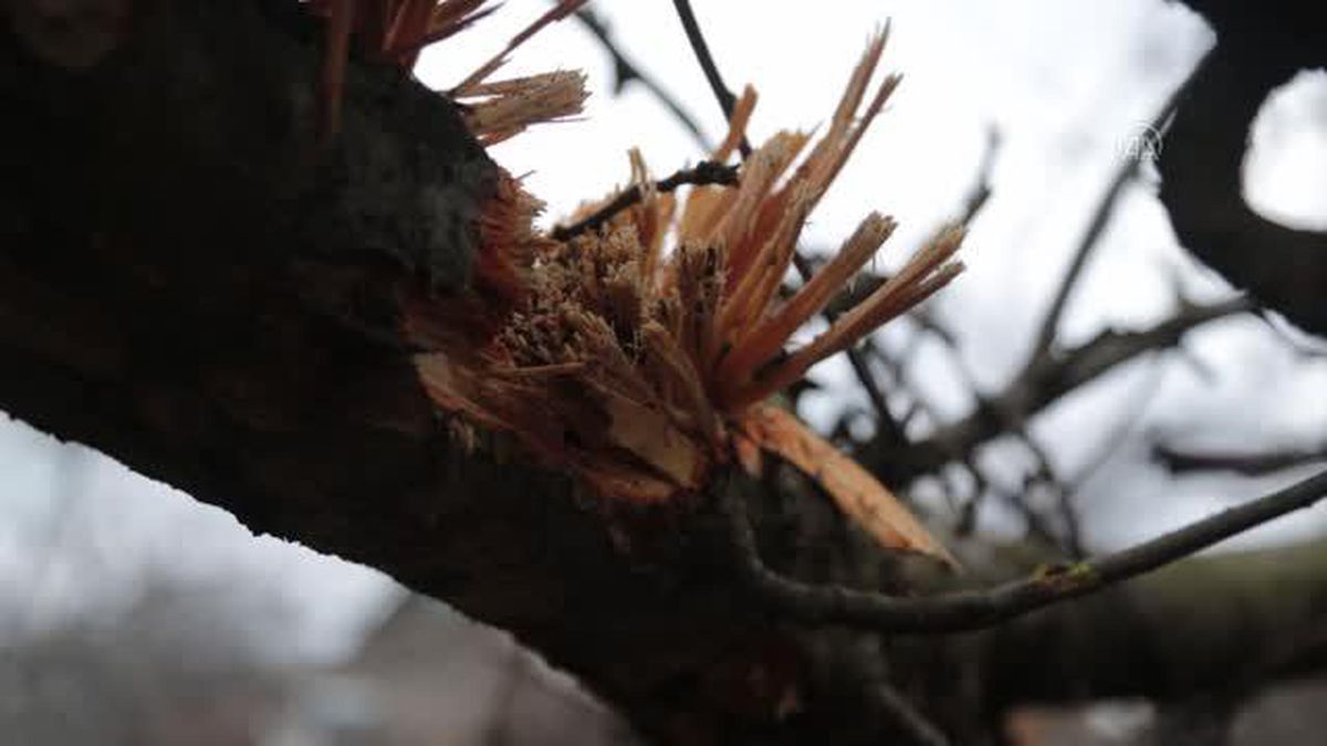 Rusya yanlısı ayrılıkçıların kontrolündeki Donetsk'te patlamalar