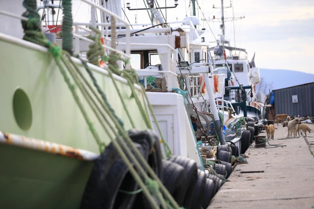 İğneada'daki balıkçılar fırtına nedeniyle iki gündür denize açılamıyor