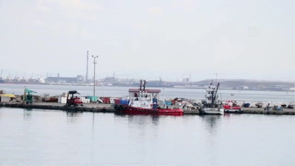 Karadenizli balıkçıların hamsiden sonra umudu "çaça" balığında