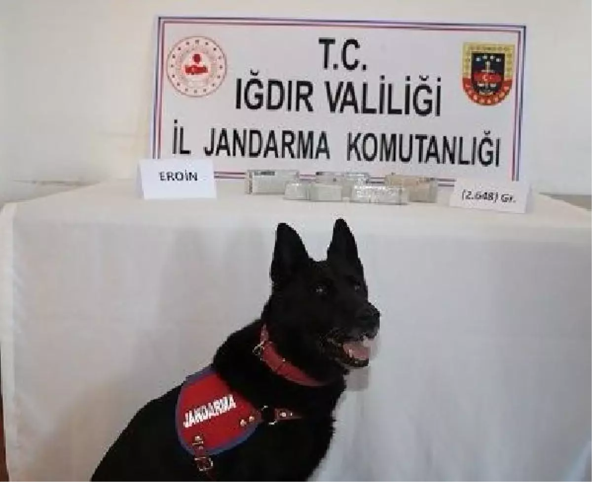 Kayalıklar arasındaki 2,5 kilo eroini 'Raskol' buldu