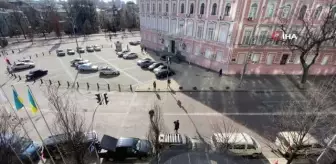 Kedileriyle bombalardan kaçıyor