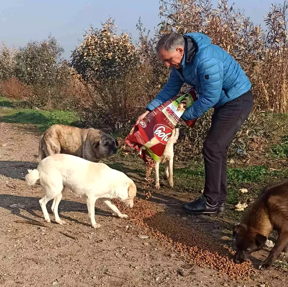 Efeler İlçe Tarım ve Orman Müdürlüğü ekipleri sokak hayvanlarını unutmadı