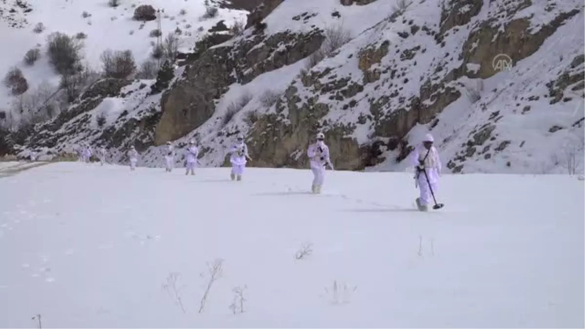 Hassas burun "Tatya", komandoları bombalı tuzaklardan koruyor