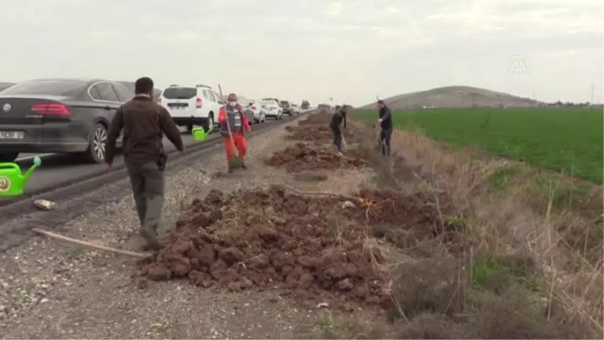 Kara yolu kenarlarına 1000 ağaç dikildi