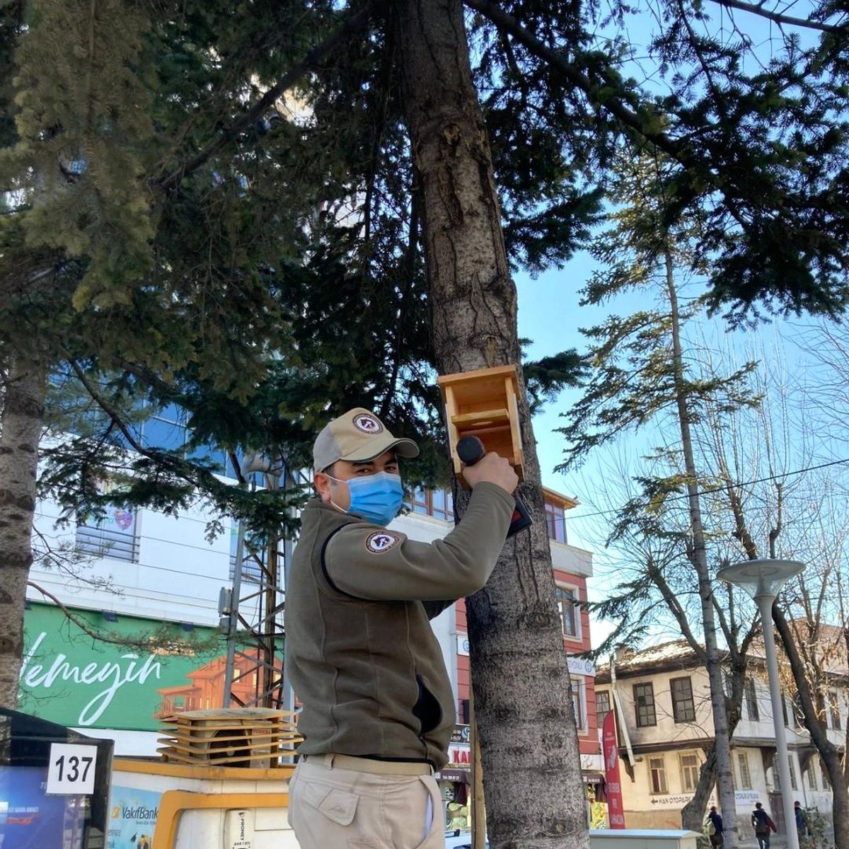 Kastamonu\'da çeşitli noktalara kuş yuvaları asılarak yem bırakıldı