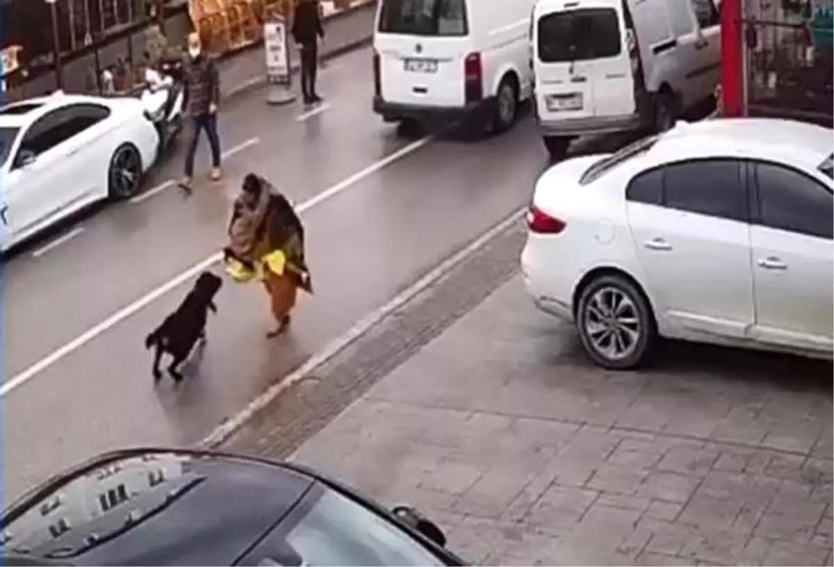 Kocaeli\'de çocuğu köpek saldırısından koruyan esnaf o anları anlattı