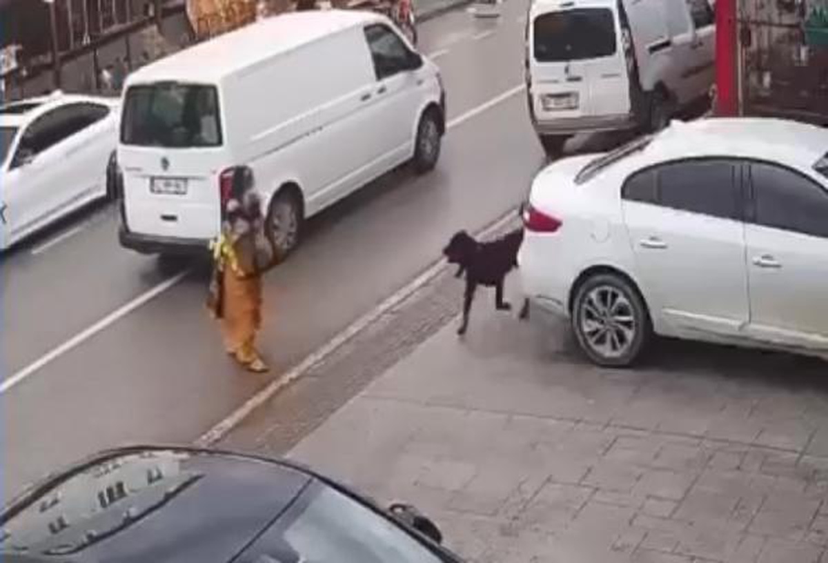 Köpek üzerine atlayınca kucağından çocuğu düşürdü; o anlar kamerada