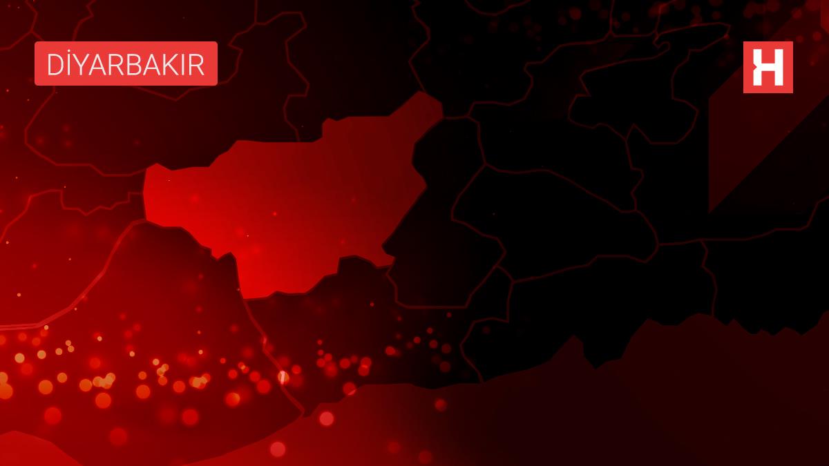 'Kralkızı-Dicle P3 Pompaj Sulaması' projesiyle 239 bin 69 dekar alan suya kavuşacak