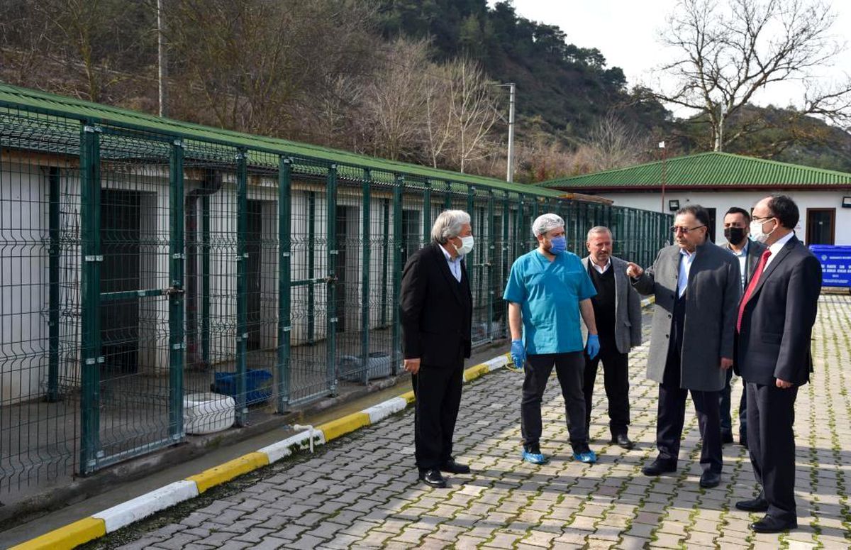 Örnek projeler hayata geçiriliyor
