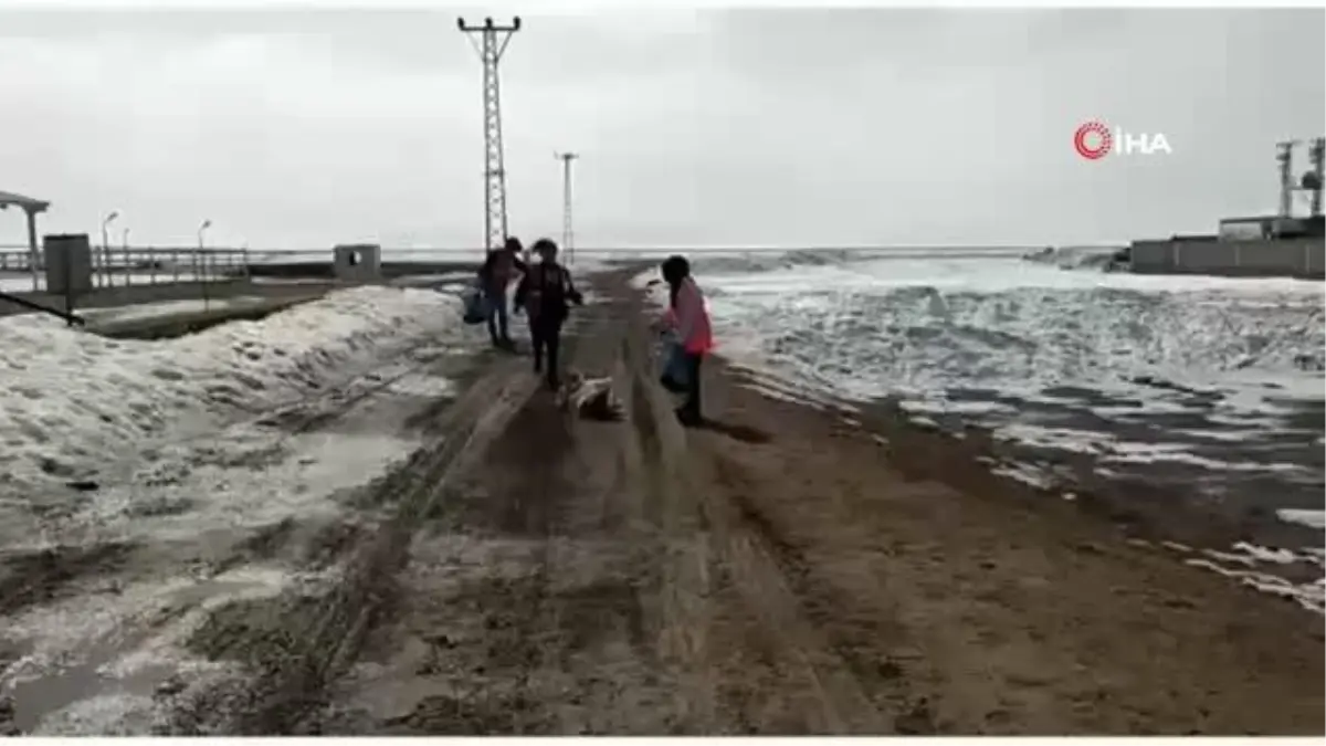 Özalp ilçesinde sokak hayvanları için beslenme etkinliği