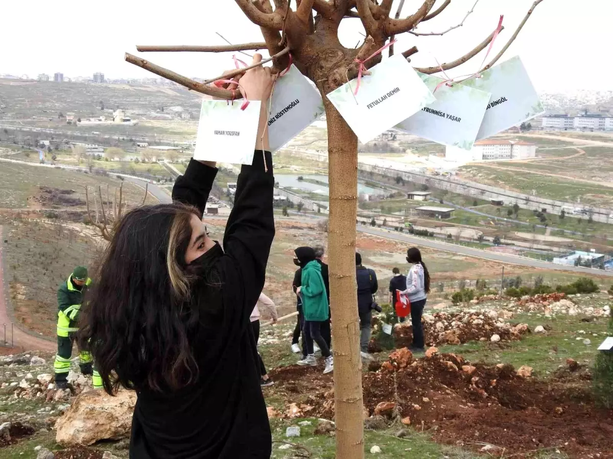 Şahinbey'de 26 bin ağaç dikilecek