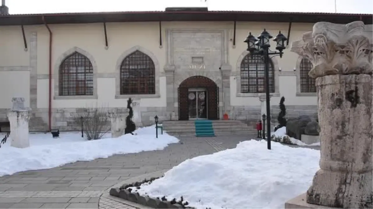 Sivas Arkeoloji Müzesi\'nde "milyon yıllık fil ayağı" sergileniyor