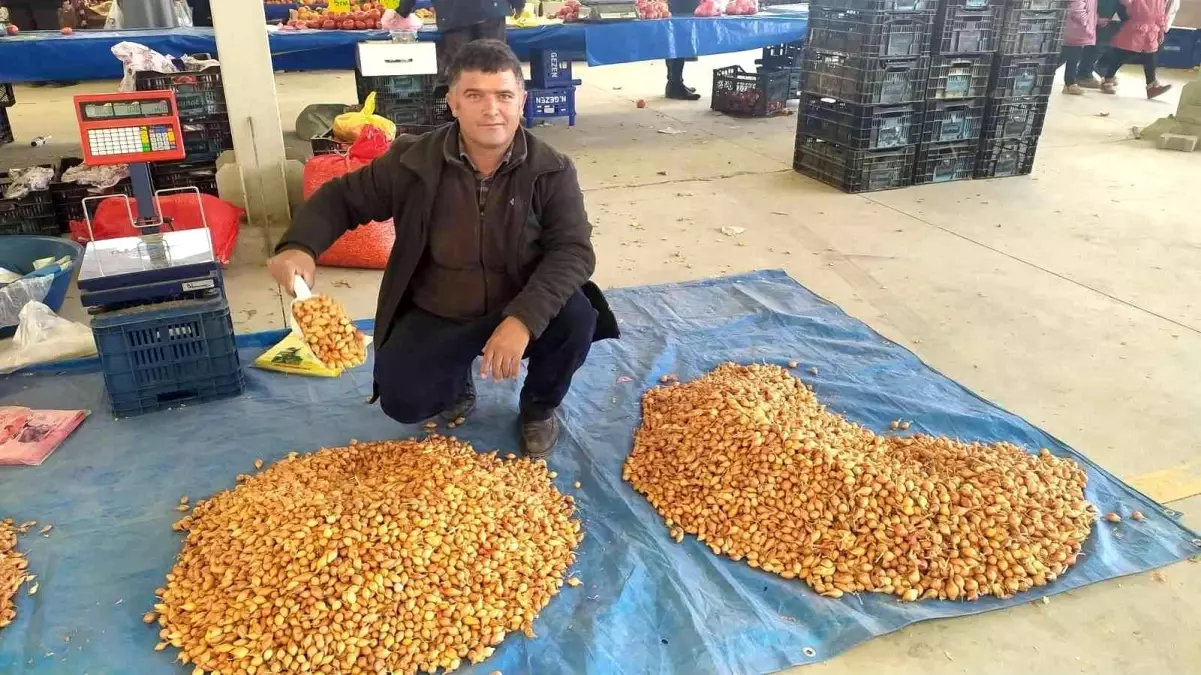 Tohumluk kuru soğanın kilogram fiyatını 5 TL\'ye düştü