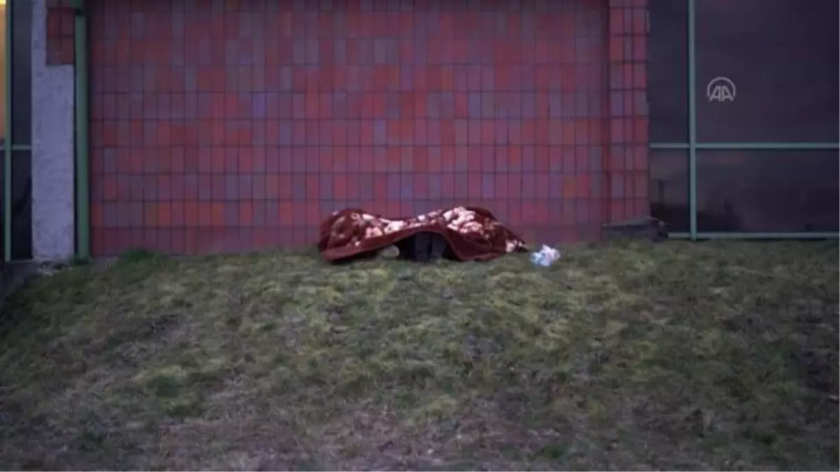 Ukrayna'da okuyan yabancı öğrencilerin zorlu sınır yolculuğu