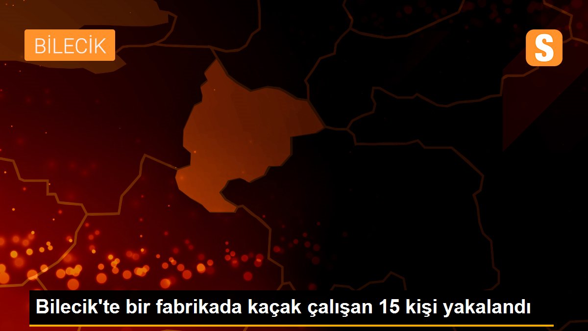 Bilecik\'te bir fabrikada kaçak çalışan 15 yabancı uyruklu işçi yakalandı