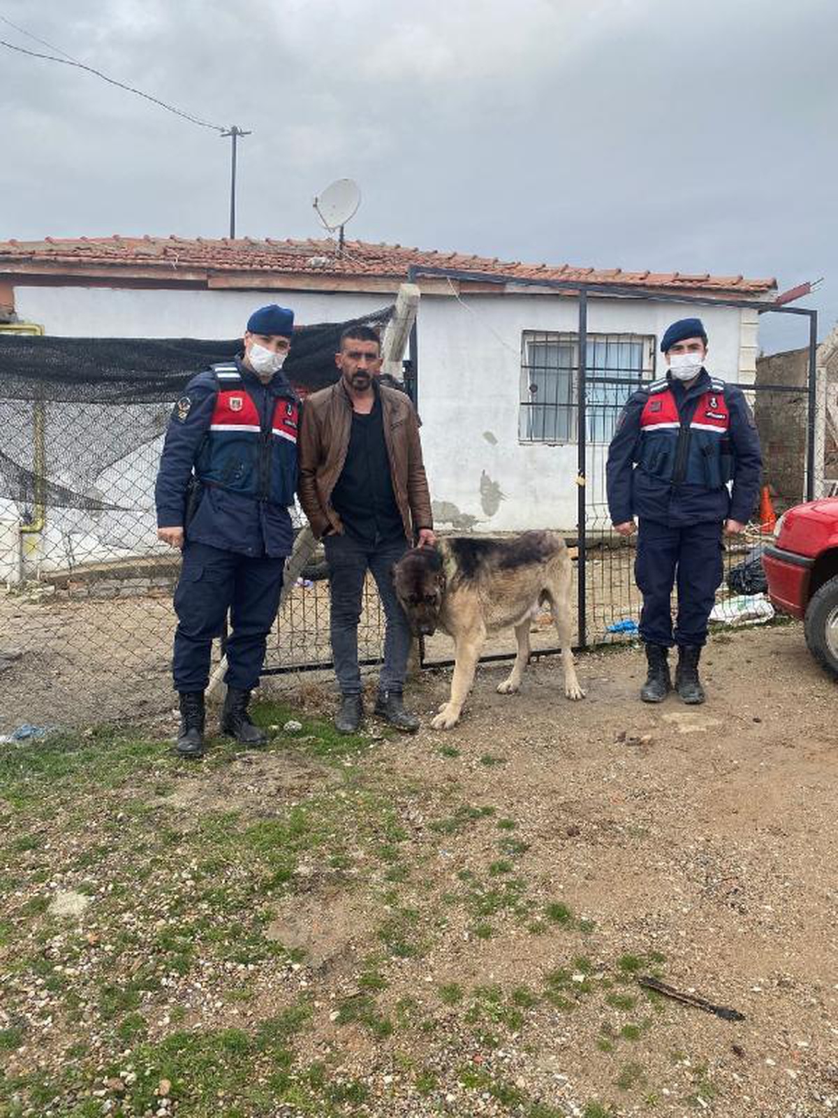 Köpeği çaldı, üstüne bir de tanımasınlar diye siyaha boyadı